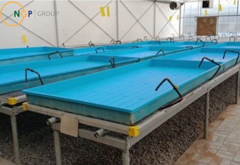 Khay chứa composite trong nuôi trồng thủy sản