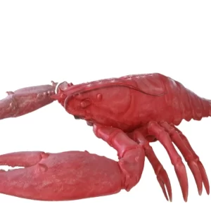 nhan lam mo hinh composite theo yeu cau 6 86378